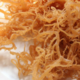 ORO Organic Raw Premium Gold Seamoss Sea moss